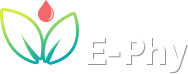 logo ephy accueil